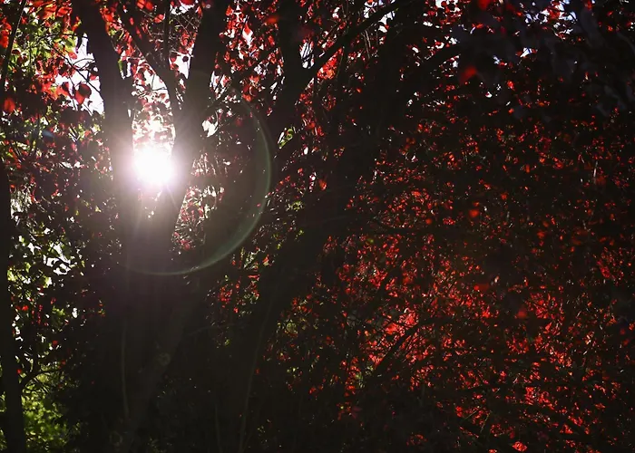 Sleep Space 1 - Green&tiny Spot An Der Schafweide Rehburg-Loccum